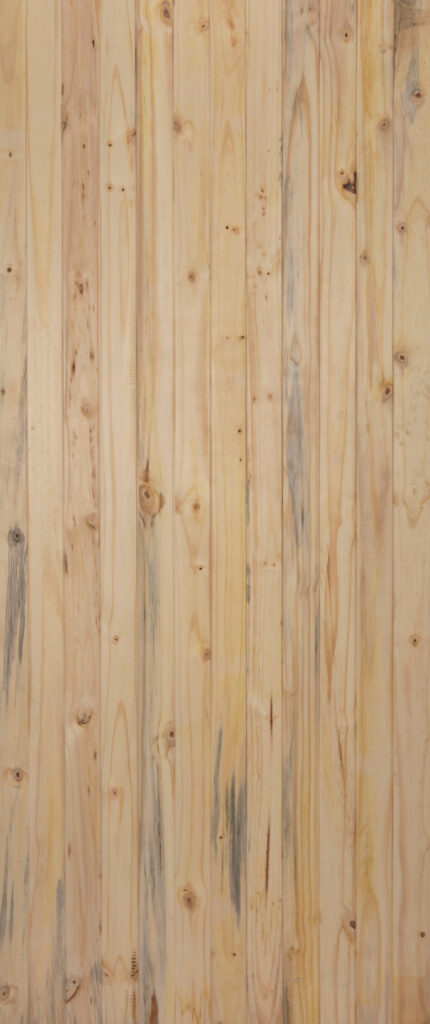 Saligna Z Brace Front