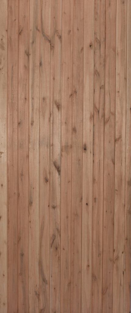 Saligna Open Brace Front